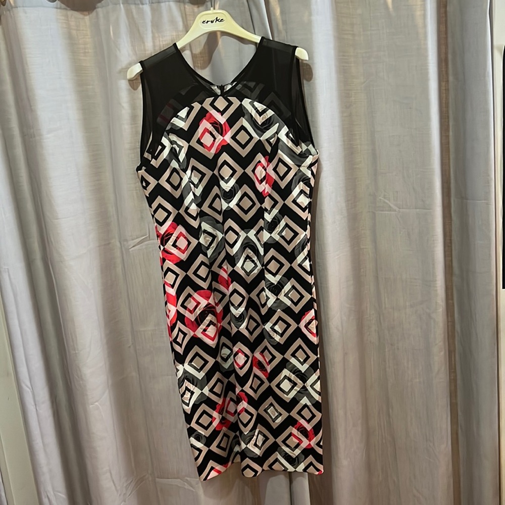 NWT Evoke dress